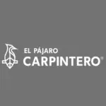 pajaro carpintero